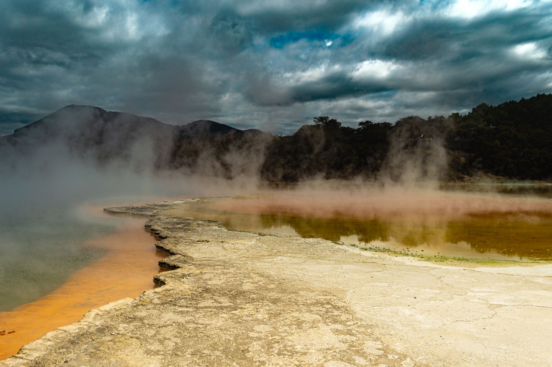 Rotorua Geothermal Valley